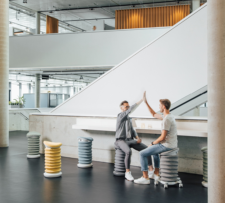 TDR – Back Health Day 2026